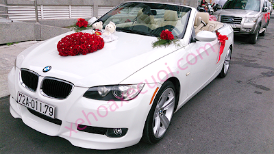 Xe hoa cao cấp mui trần BMW 335I