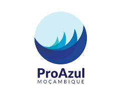 Fiscalização das obras de reabilitação dos escritórios do proazul, FP