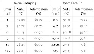 tabel kebutuhan suhu dan kelembaban ayam pedaging