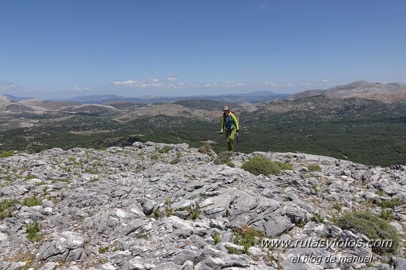 Cerro la Tala desde Conejeras