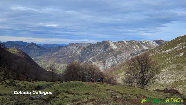 Collado Gallegos, Caso