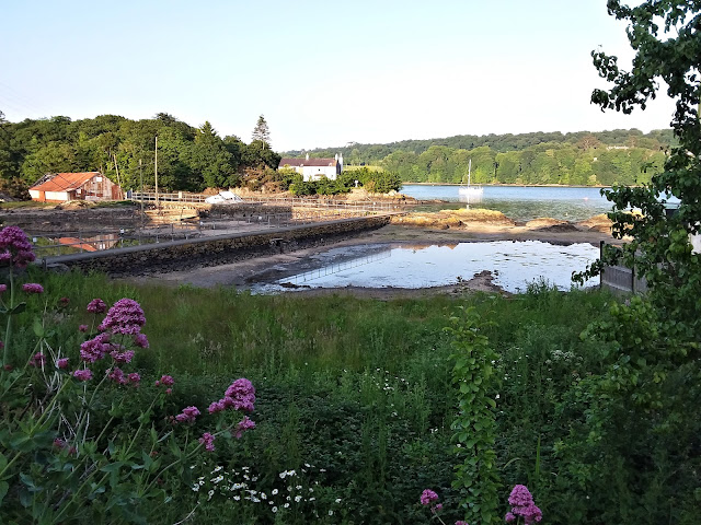 Anglesey