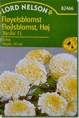 tagetes