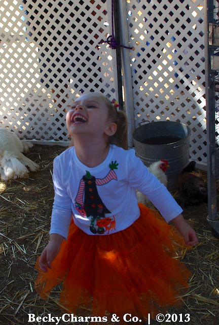 This Time Last Year - Bates Nut Farm Pumpkin Patch 2012 by BeckyCharms & Co.