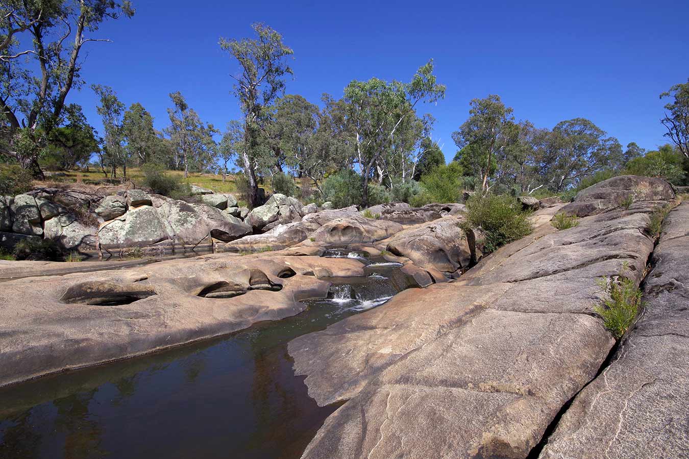 The Cascades, Metcalfe