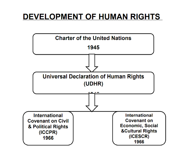 Development Of Human Rights