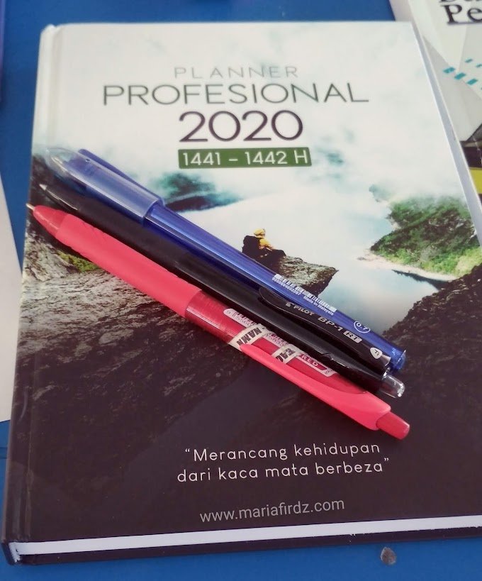 Planner Professional 2020