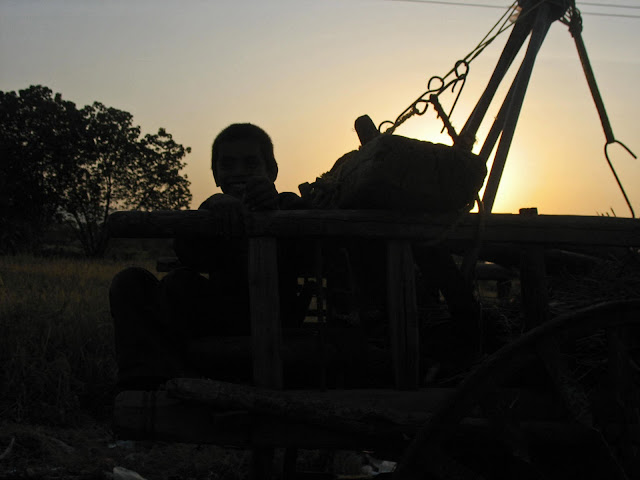 happy boy on bullock cart silhouette