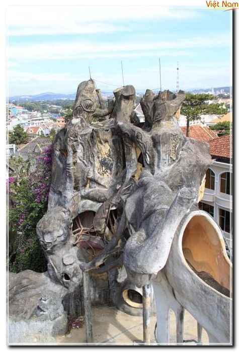 tn_dalat4