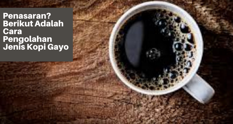 Penasaran Berikut Adalah Cara Pengolahan Jenis Kopi Gayo