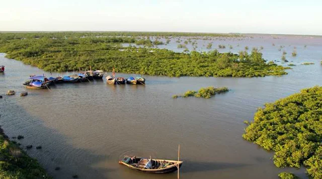 Kỹ thuật kinh nghiệm câu cá ở đầm nuôi tôm,cua đạt hiệu quả cao