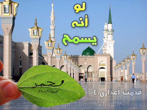 لو أنه يسمح .. بقلم عبد الوهاب مطاوع