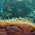 Tri Nguyen Aquarium, Nha Trang