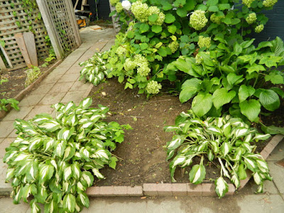 Leslieville Toronto Front Garden Cleanup After by Paul Jung Gardening Services--a Toronto Gardening Company