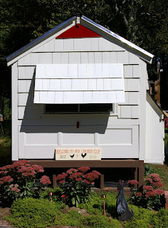 backyard, chicken, coop, backyard chickens, chicken coop