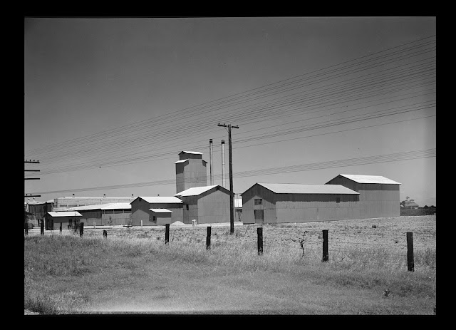 Lange, Dorothea, photographer. Between Tulare and Fresno, California on US 99. Winery belonging to Muscat Cooperative Winery Association. May. Photograph. Retrieved from the Library of Congress, <www.loc.gov/item/2017772019/>.