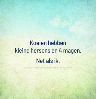 afbeeldingen met quotes