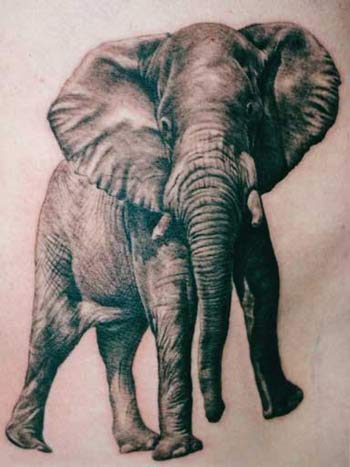 Elephant tattoos look outstanding with other large African animals such as