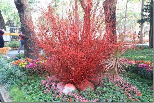 台南公園-2012百花祭12