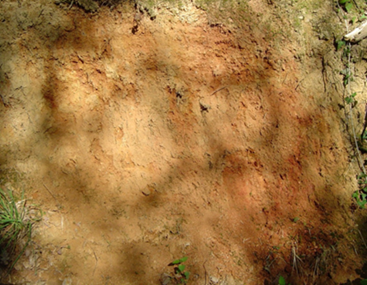 Sables rouges dans un talus de La Ménardais