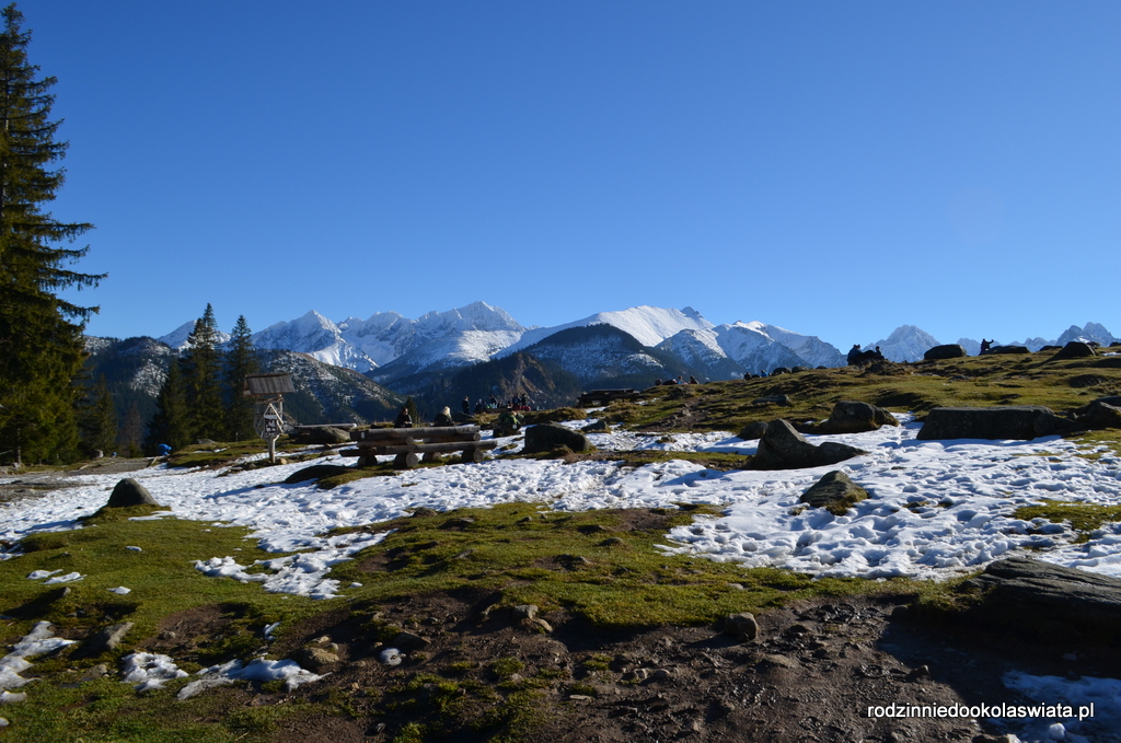 Tatry z dzieckiem- Rusinowa Polana kolejna odsłona