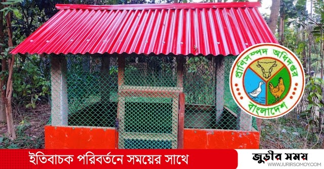 জুড়ীতে হাঁস - মুরগির ঘর নির্মাণ প্রকল্পে ব্যাপক অনিয়ম!