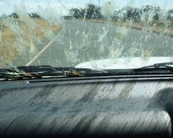 Lots of dead insects splashed on the windscreen of a car, suggesting a decline in the UK's insect population.