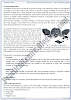 Basic Concepts Of Information Technology - Theory And Questions Answers - Computer XI