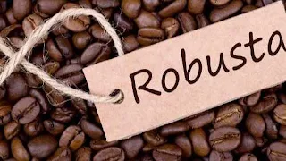 रोबस्टा (रोबस्टा कॉफी बीन्स)- Robusta Coffee Beans
