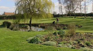 Bryony Jacklin's garden