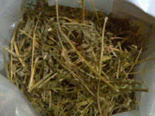 High Protein Alfalfa Hay