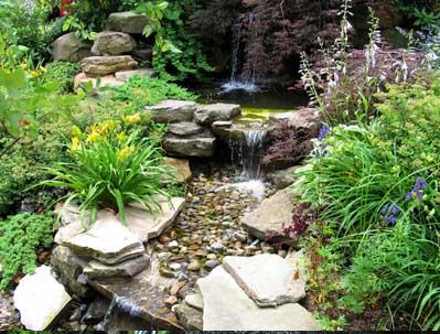 Small Rock Garden Ideas