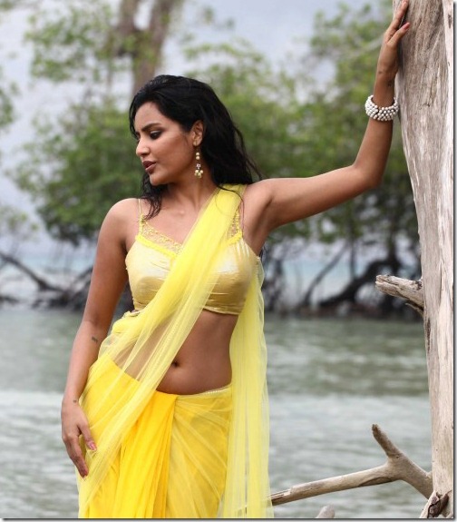 Actress Priya Anand in Ethir Neechal Movie Hot Stills