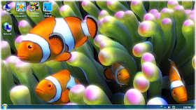aquarium  wallpaper hd