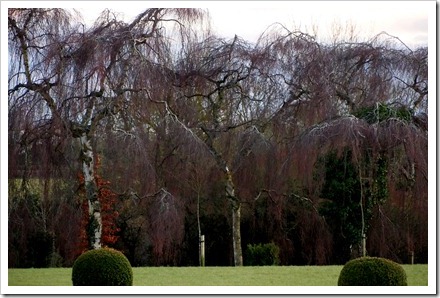 19 Feb 4 19-02-2012 18-09-47