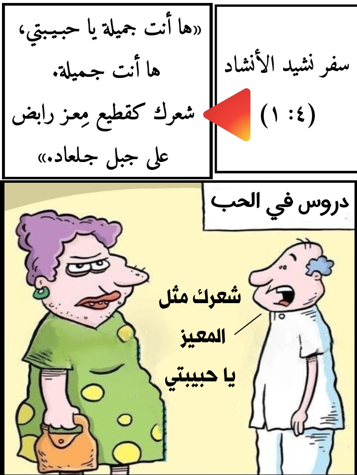 أشياء مضحكة في الكتاب المقدس