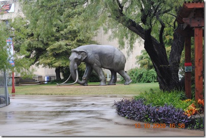 Texas October 2009 013