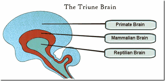 triune_brain