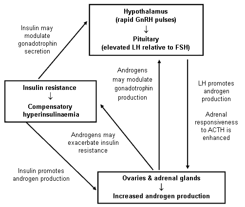 pathogenic factors in PCOS