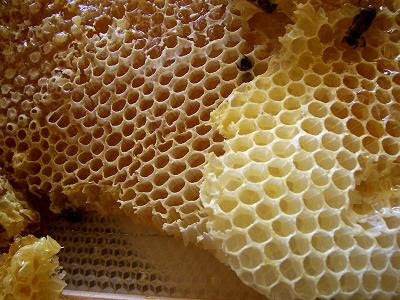 honey comb