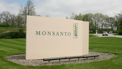 Monsanto Growing Big Data - Roman Temkin
