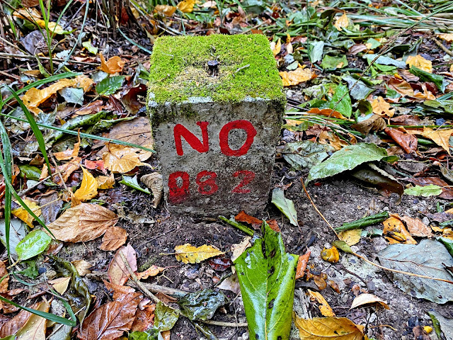 廢棄林道--082水泥柱