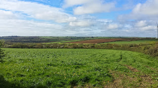 Running in Cornwall