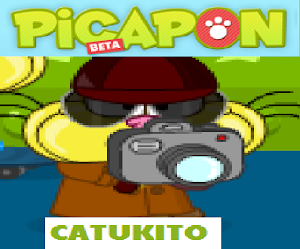 Picapon