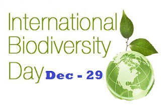 International Biodiversity Day - December 29