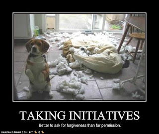 funny-dog-pictures-taking-initiatives.jpg