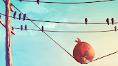 #8 Angry Bird Wallpaper