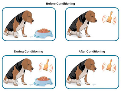 Classical Conditioning Image 1