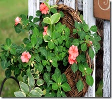 BasketHanging_Fence