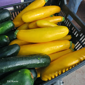 zucchini and yellow summer squash